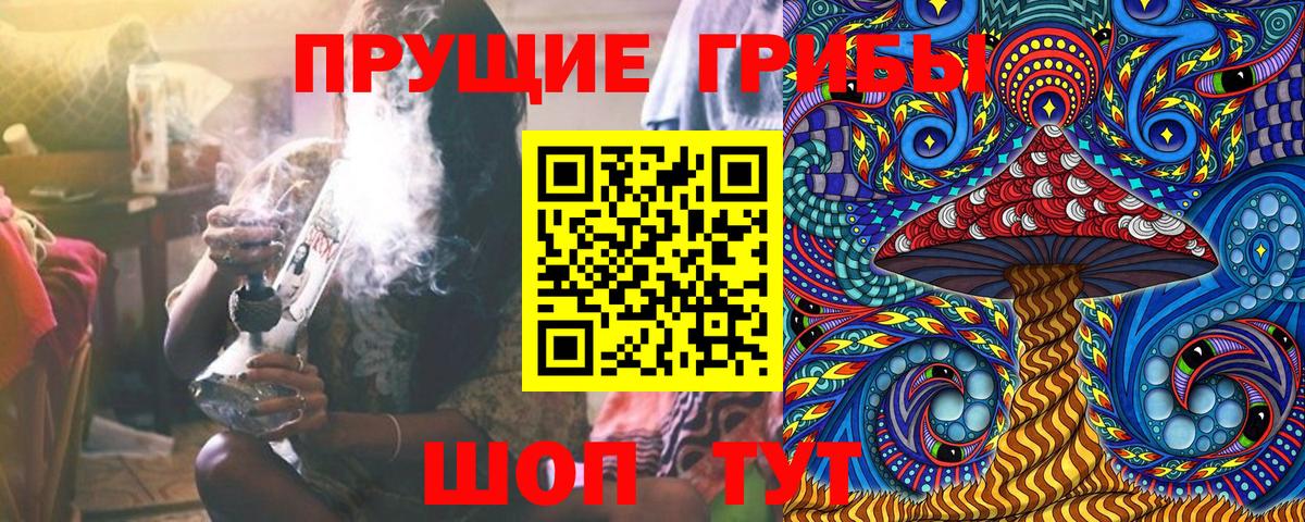 дарнет шоп  Галлюциногенные грибы MAGIC MUSHROOMS  Вход с VPN  Псков 